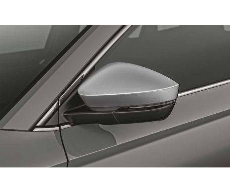 Coquille de retroviseur Skoda Kodiaq et Karoq Argent