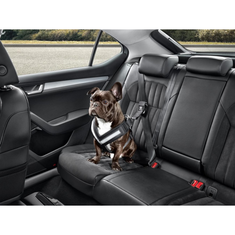 Harnais Ceinture De Sécurité Pour Chien - Compatible ISOfix - Petit Format 0.2kg